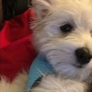 Meet your Posher, Pam